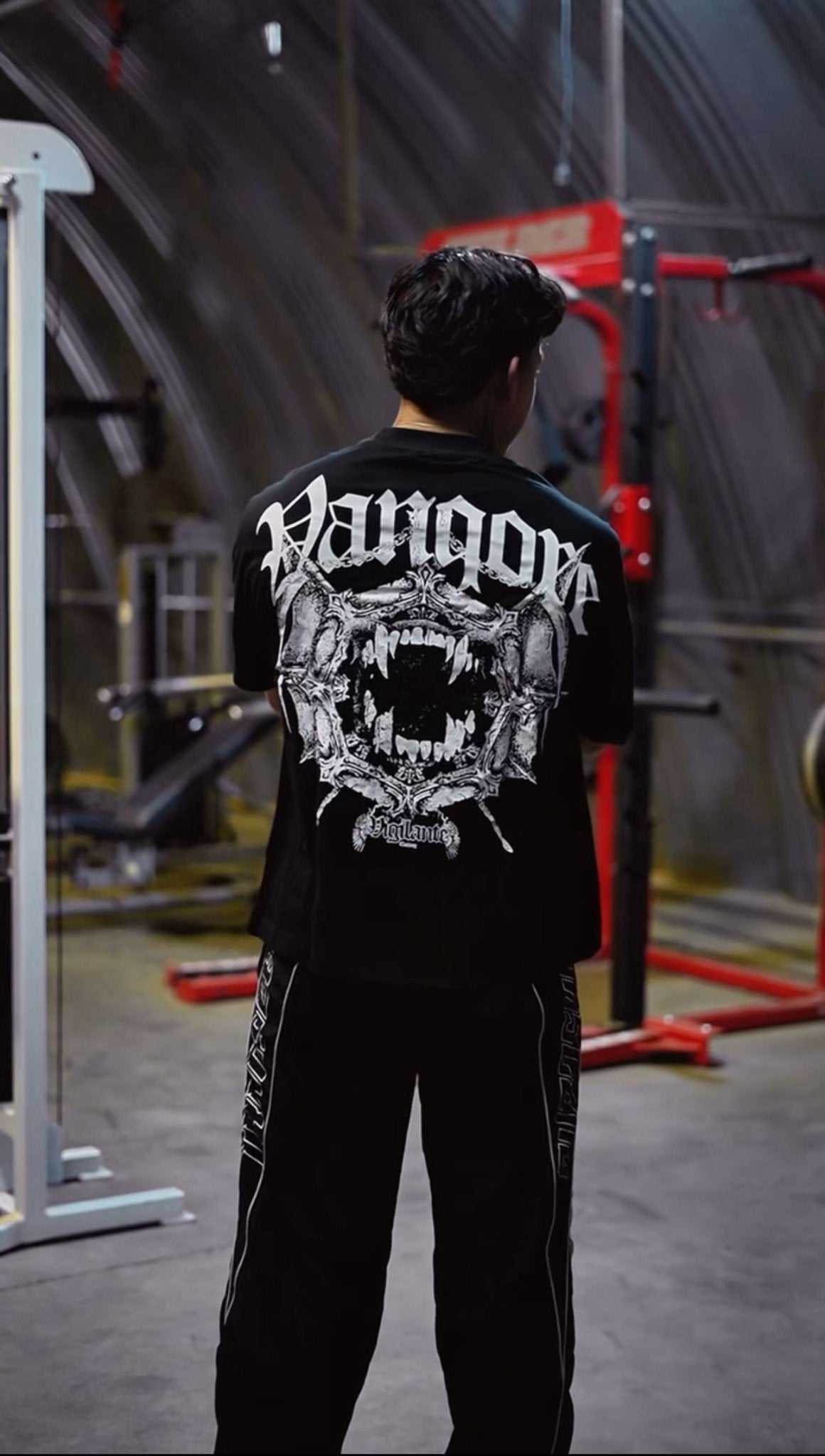 Project Vigilante - Vanqore