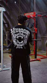 Project Vigilante - Vanqore